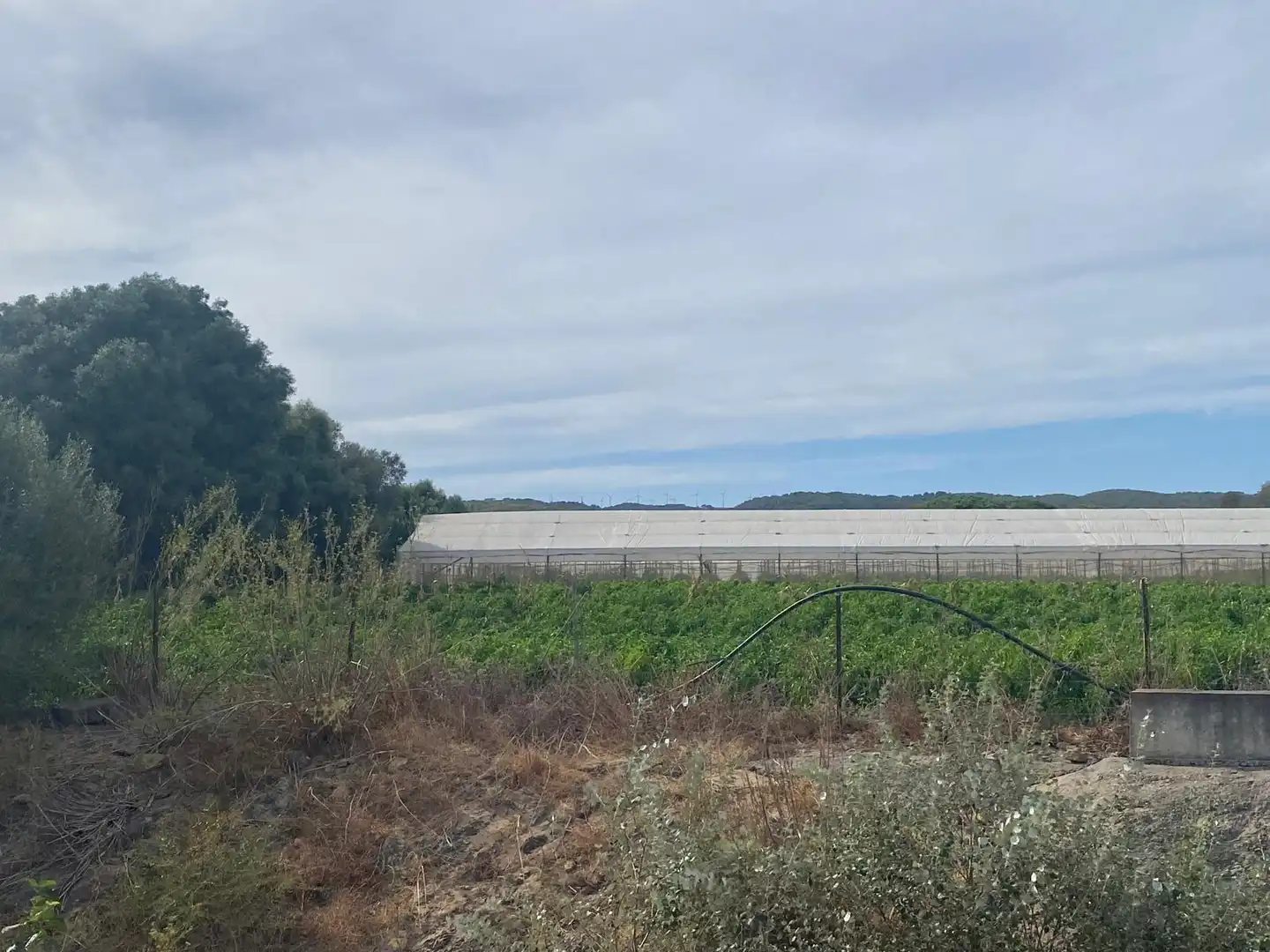 Terreno rustico in vendita a Barbate ciudad, imagen 12