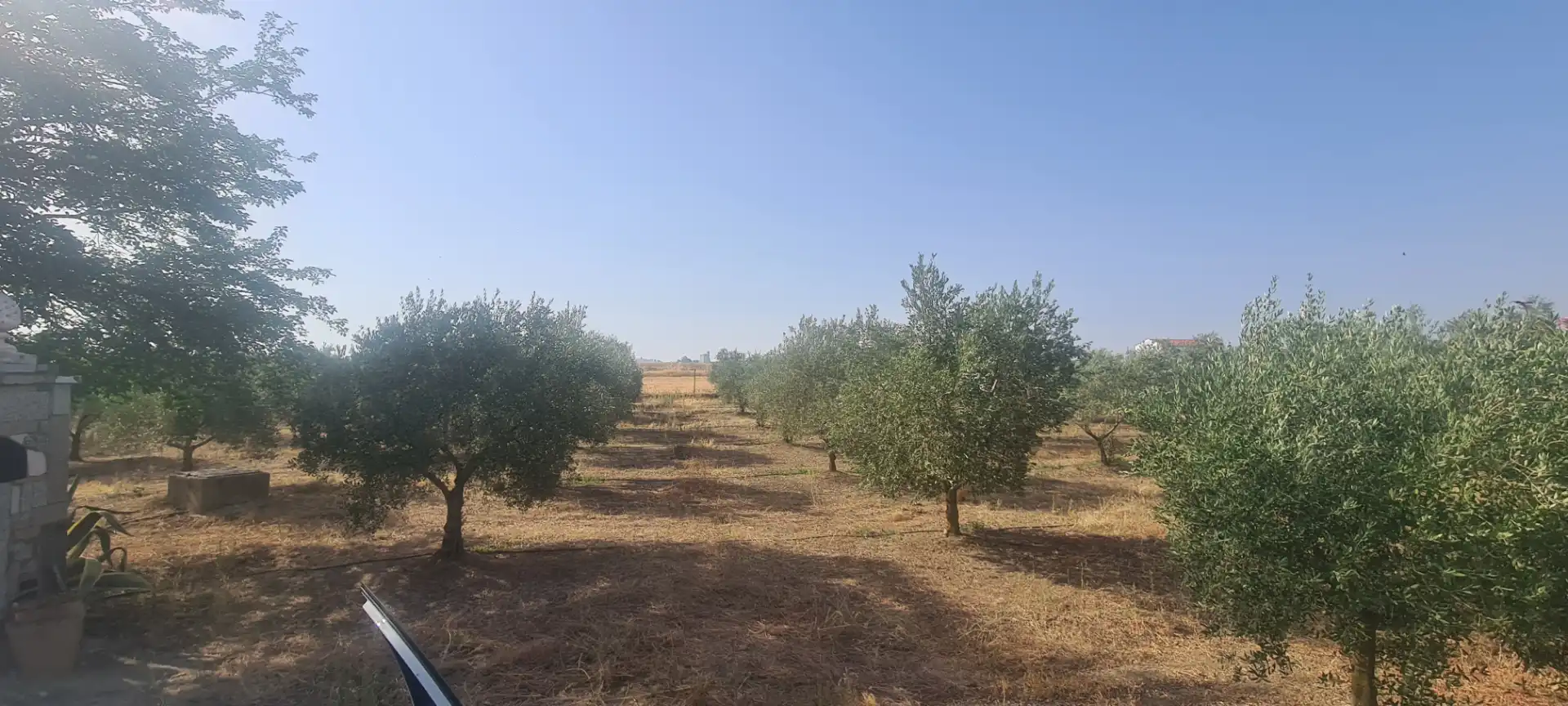 Terreni e lotti in vendita a Azuaga, imagen 9