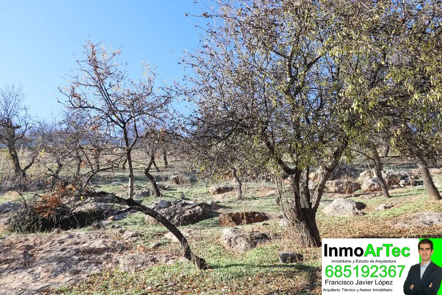 Residential land for sale in Íllora, imagen 9
