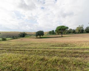 Finca rústica en venda en Sils amb Calefacció