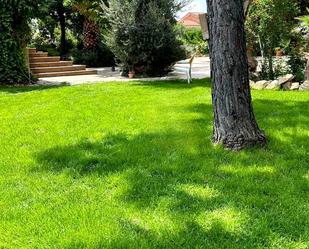 Jardí de Casa adosada en venda en Linares amb Aire condicionat, Jardí privat i Terrassa