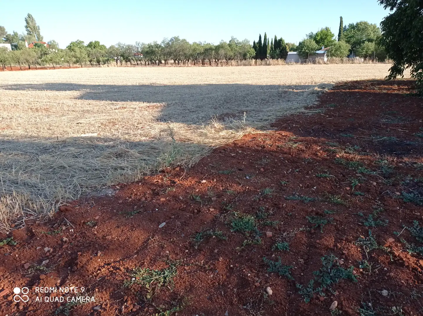 Terreno en venta en Ciudad Real