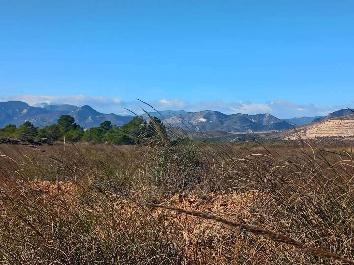 Grundstücke zum Verkauf in Lorca