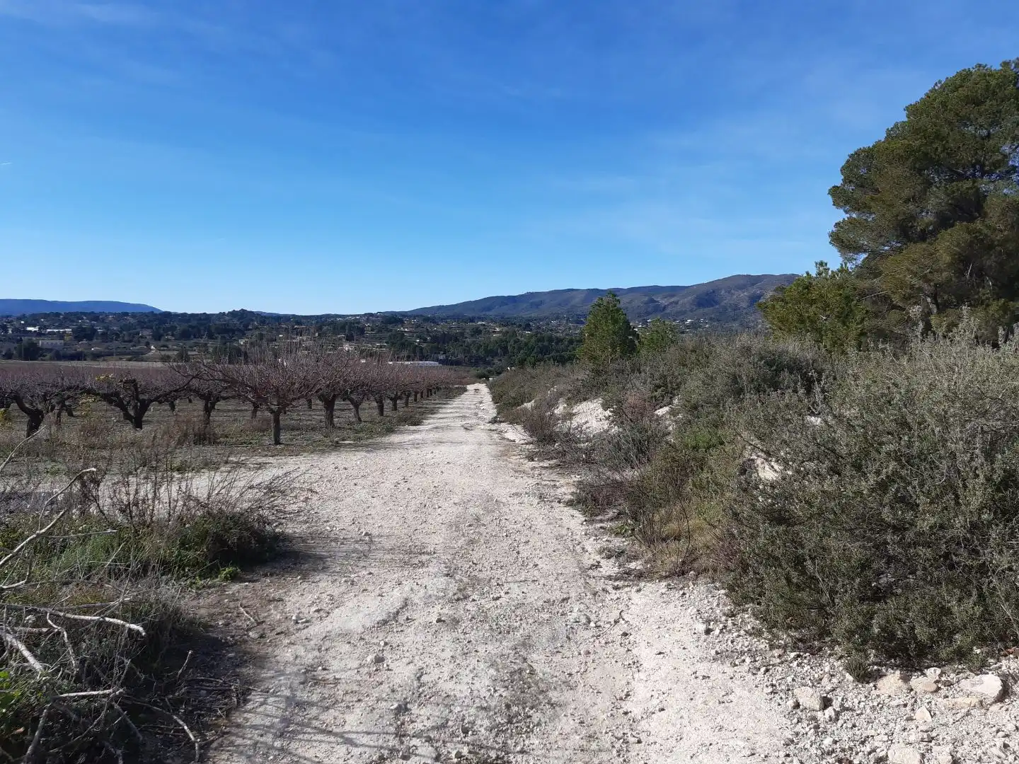 Terrain rustique à vendre à Plaça Numero 7 499