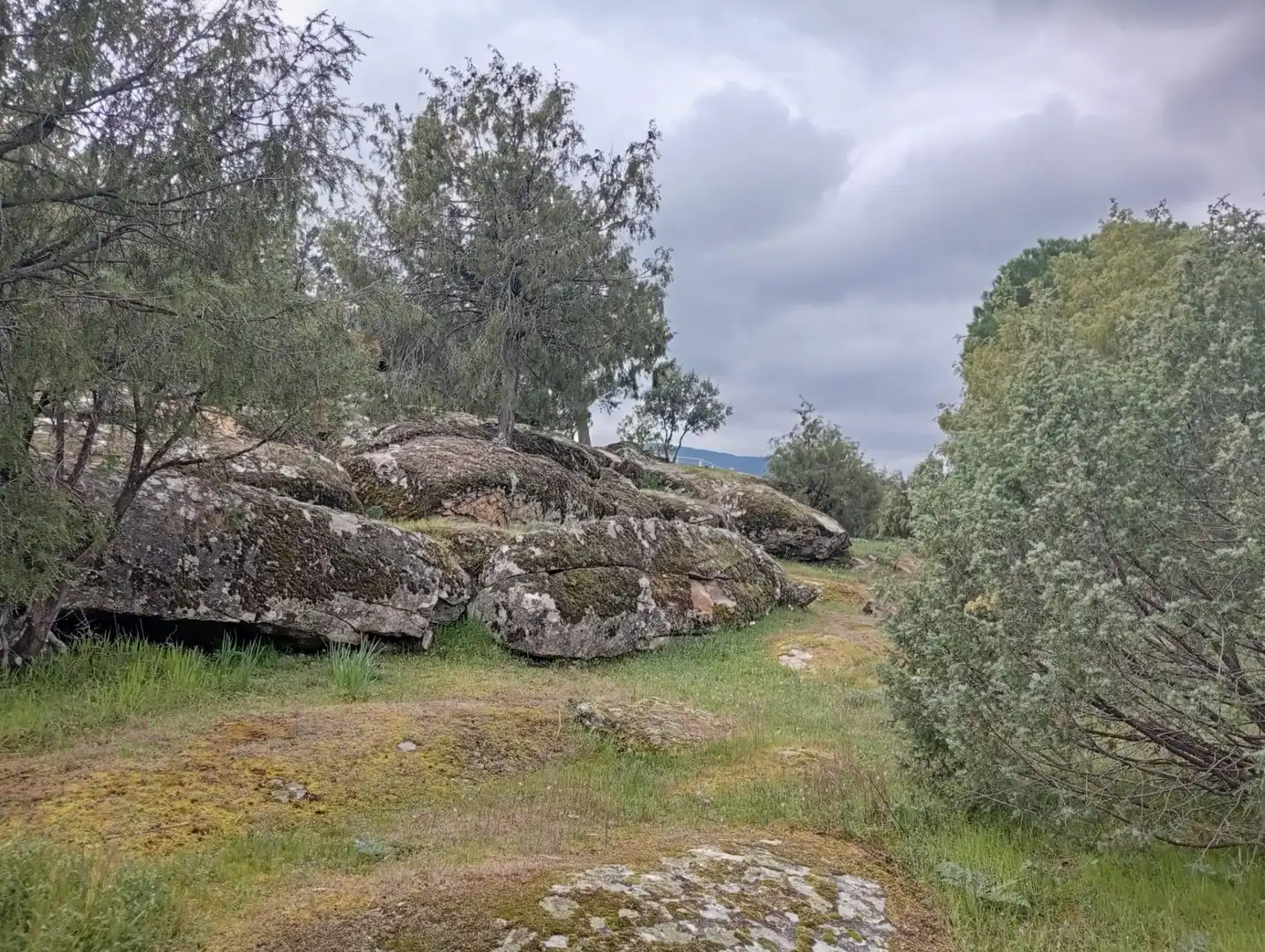 Terreni e lotti in vendita a El Tiemblo, imagen 18