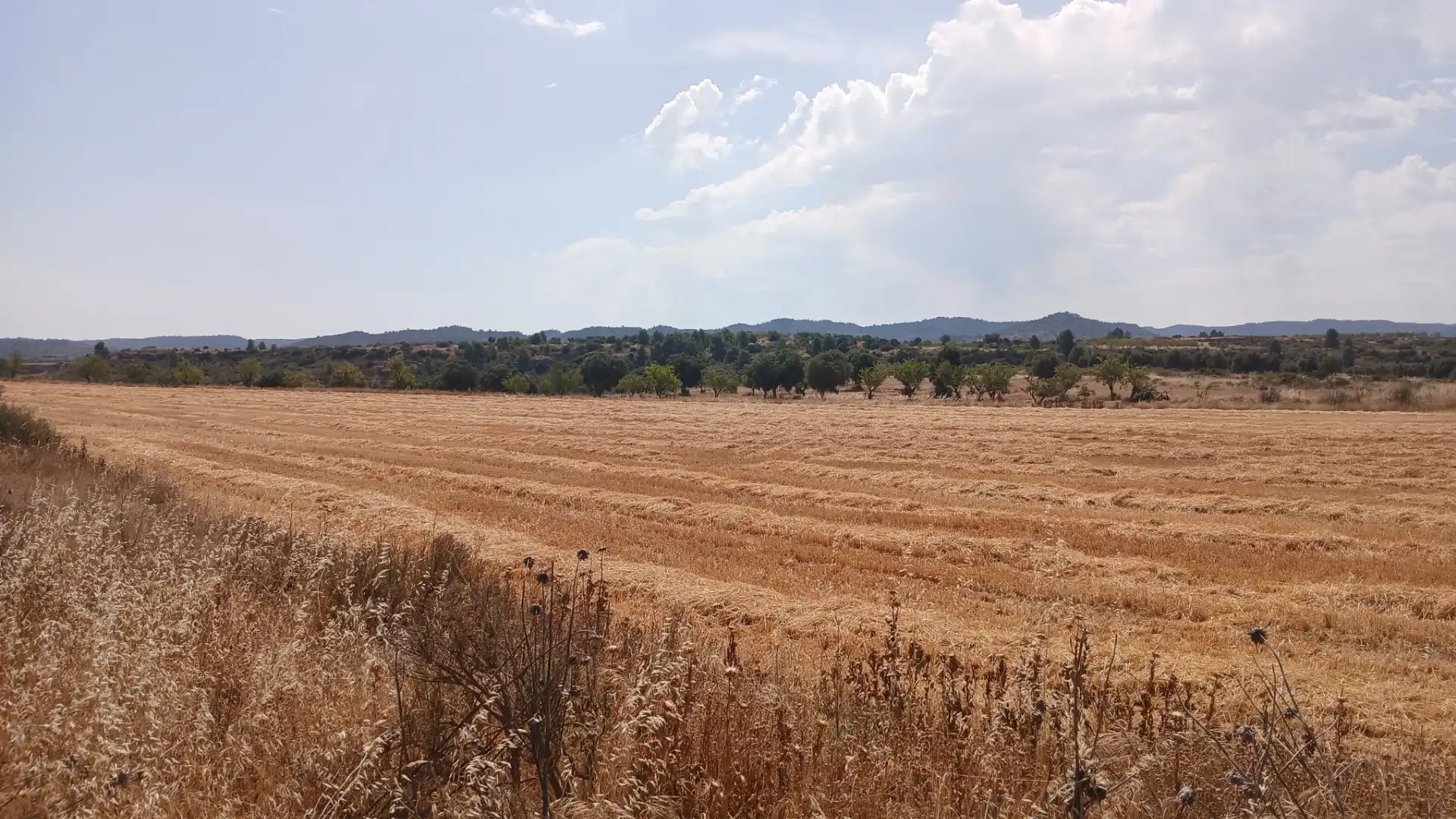 Terreno en venta en Castelserás, Teruel