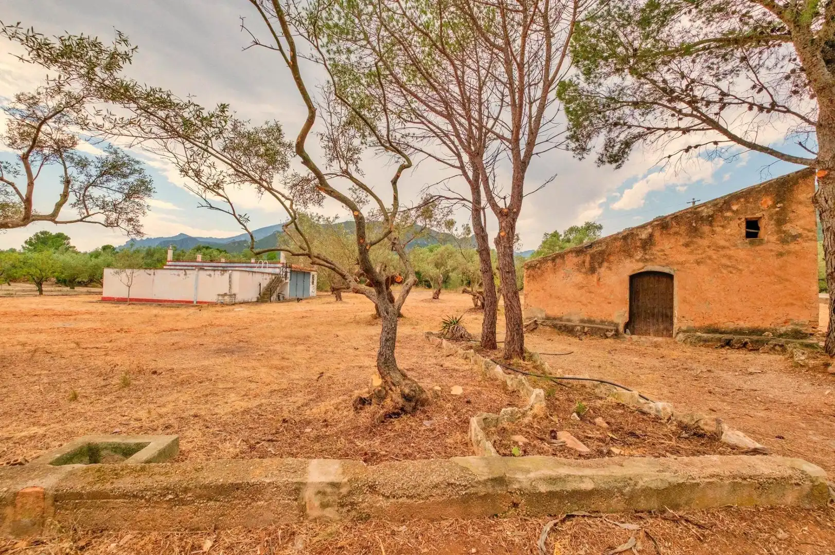 Casa o xalet en venda en Tortosa amb Jardí privat
