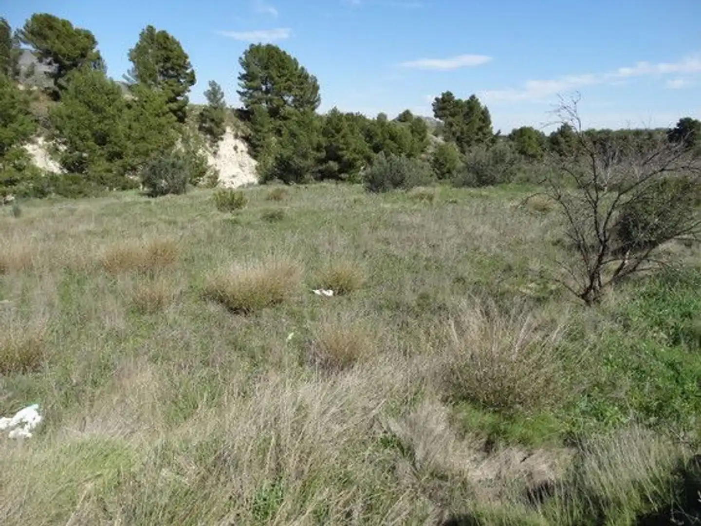 Terreny rústic en venda a Moratalla, imagen 13