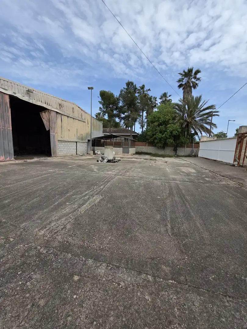Lands and plots for sale in Sueca ciudad, imagen 4
