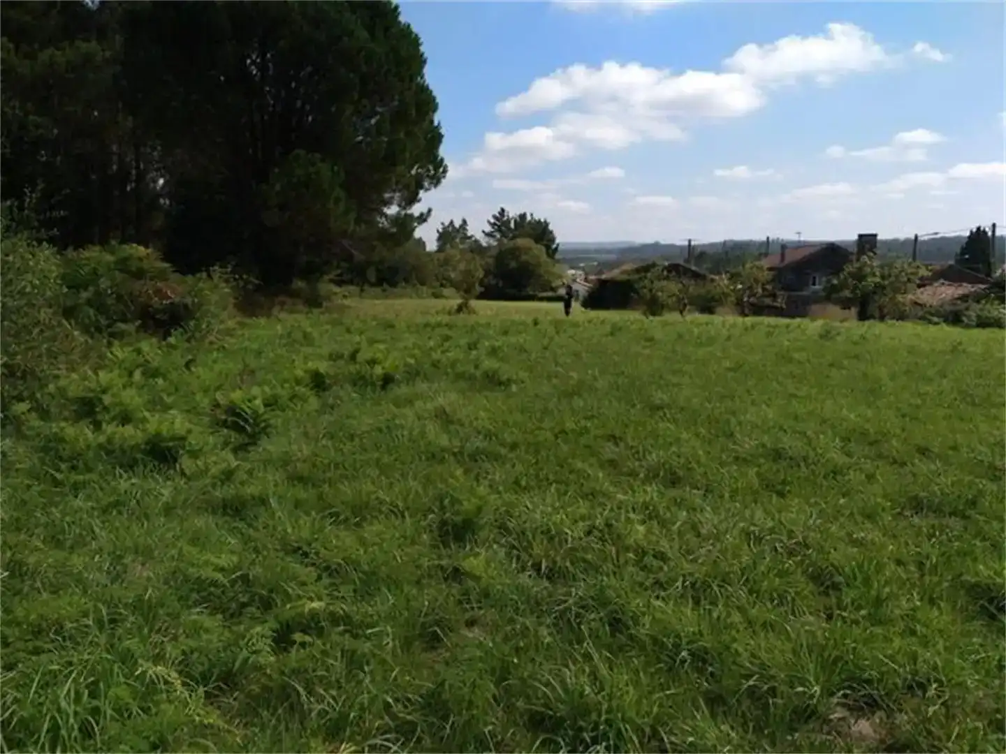 Terreny en venda en Zas