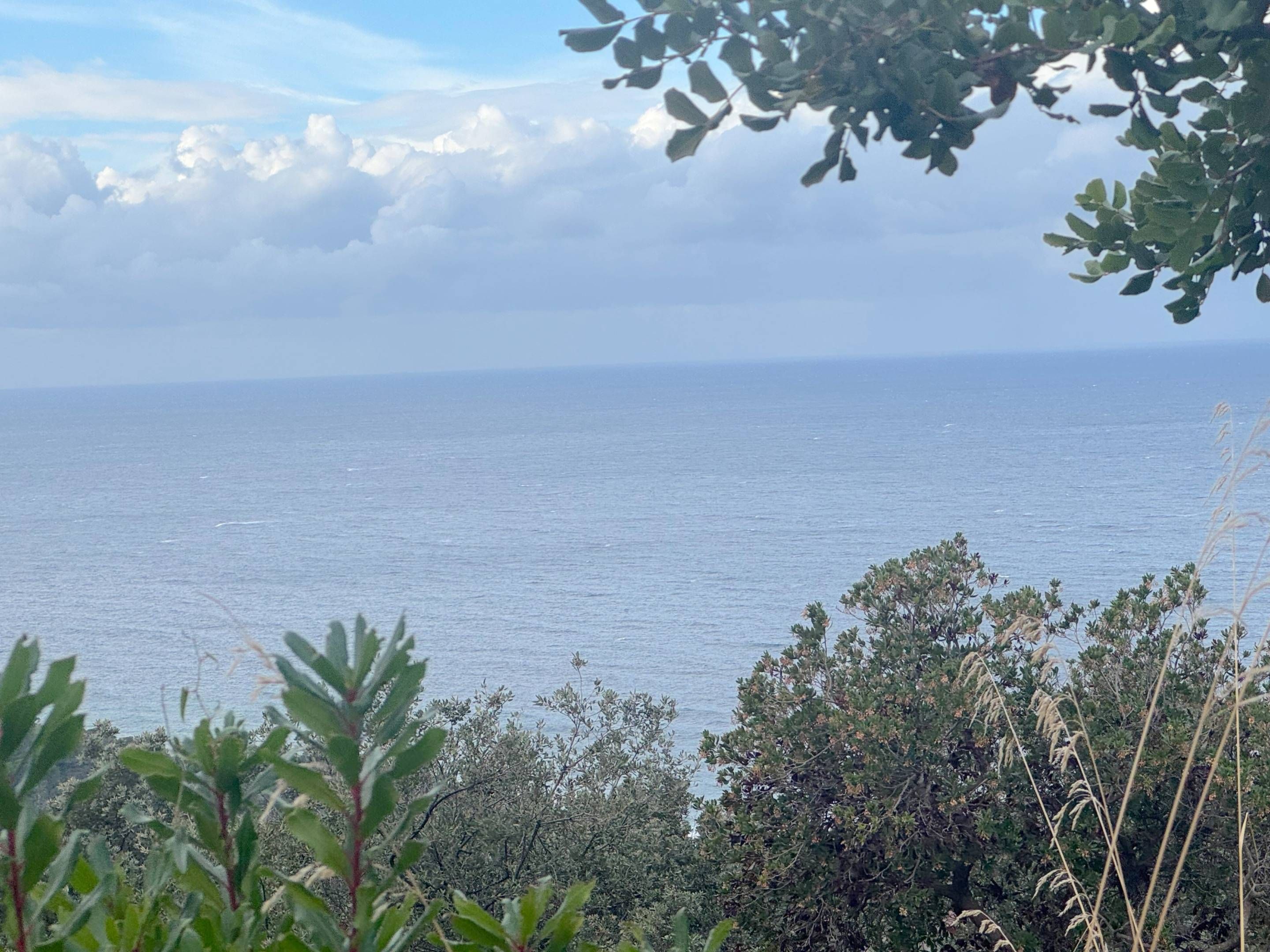 Residencial en venda a ES PORT D`ES CANONGE, Banyalbufar