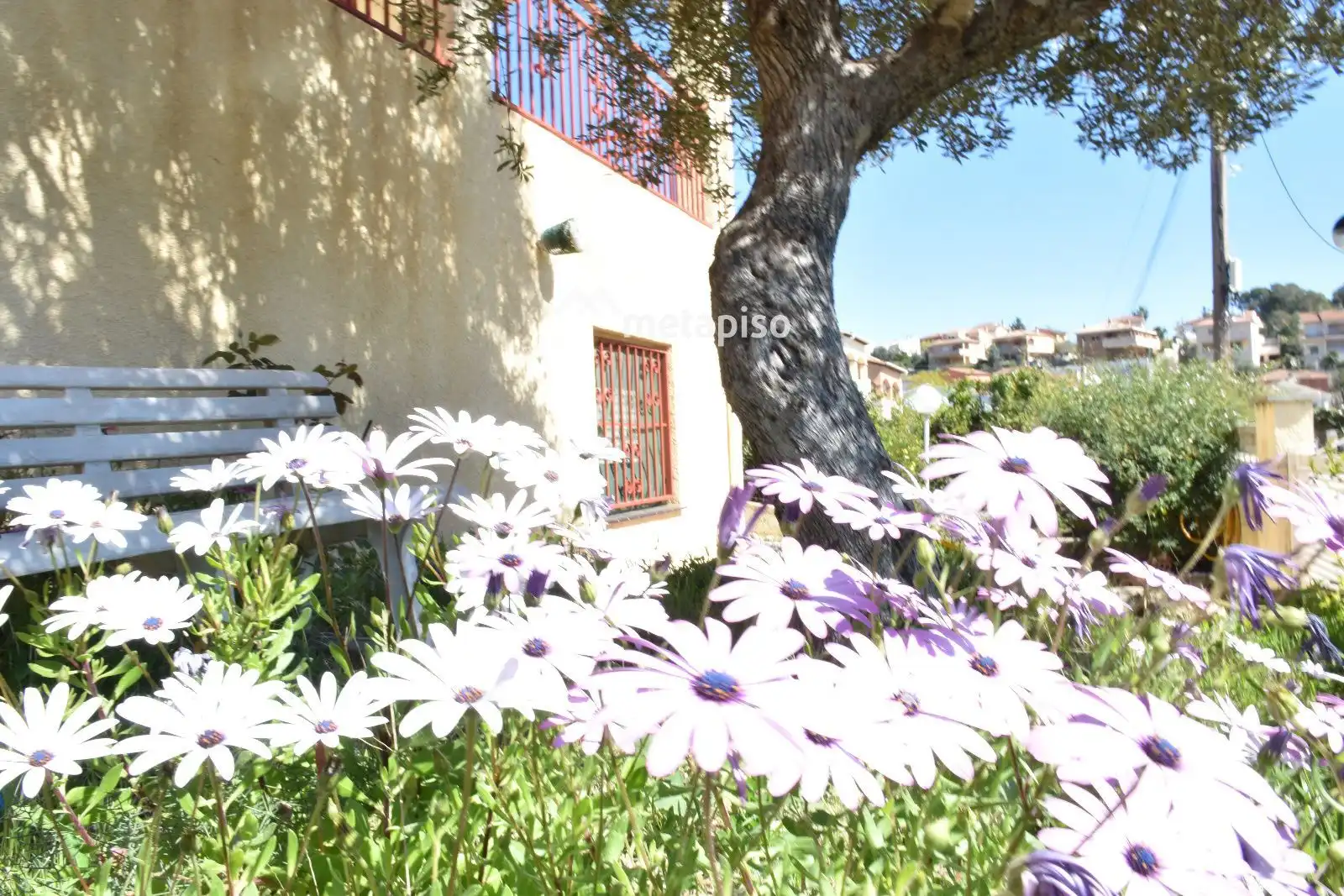 Chalet en venta en ASSUTZENA, imagen 5