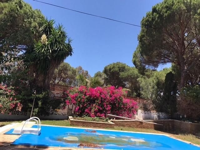 Garden of House or chalet for sale in Chiclana de la Frontera