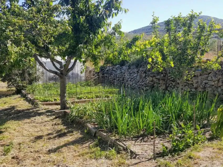 Jardín de Casa o chalet en venta en Lozoya con Jardín privado, Terraza y Piscina