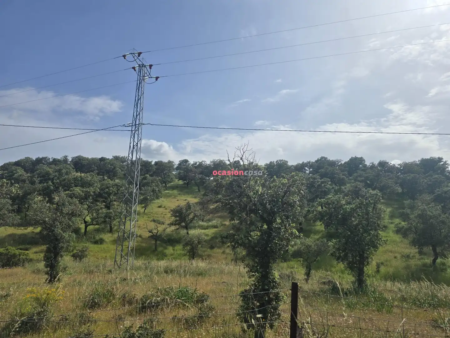 Casa o xalet en venda en Alcaracejos