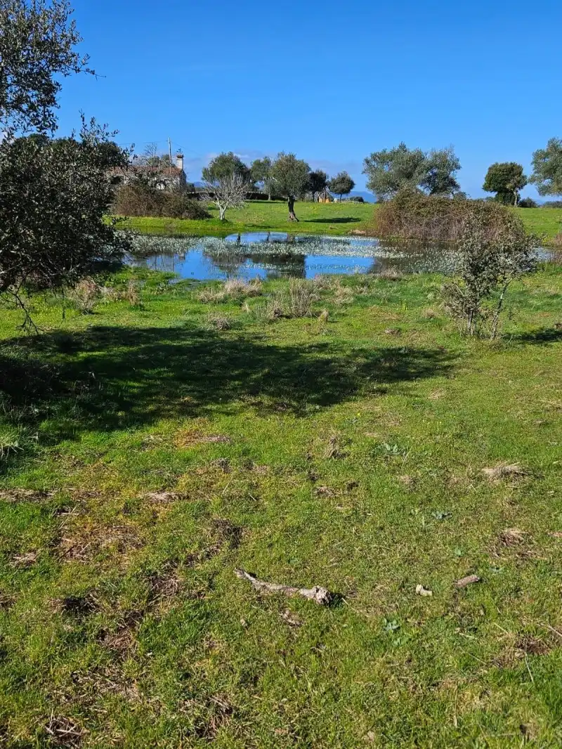 Terreni e lotti in vendita a Aldea del Cano, imagen 7