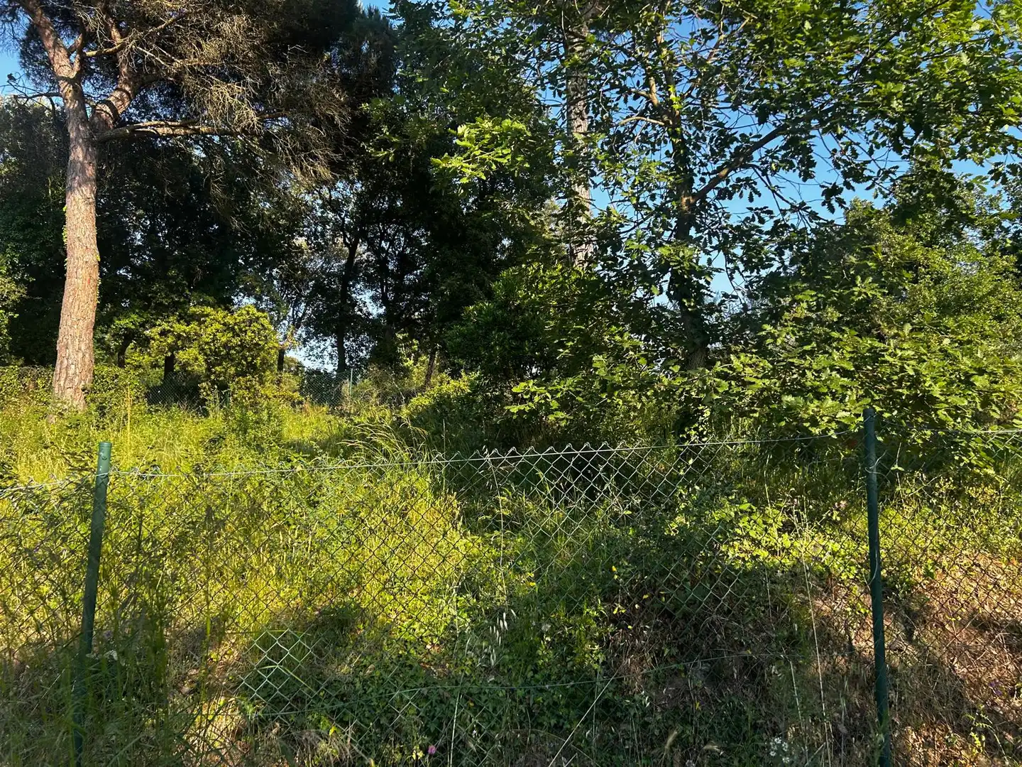 Residential land for sale in Residencial Park, imagen 4