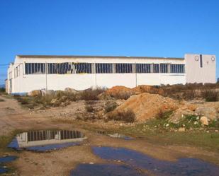 Vista exterior de Nau industrial en venda en Vinaròs