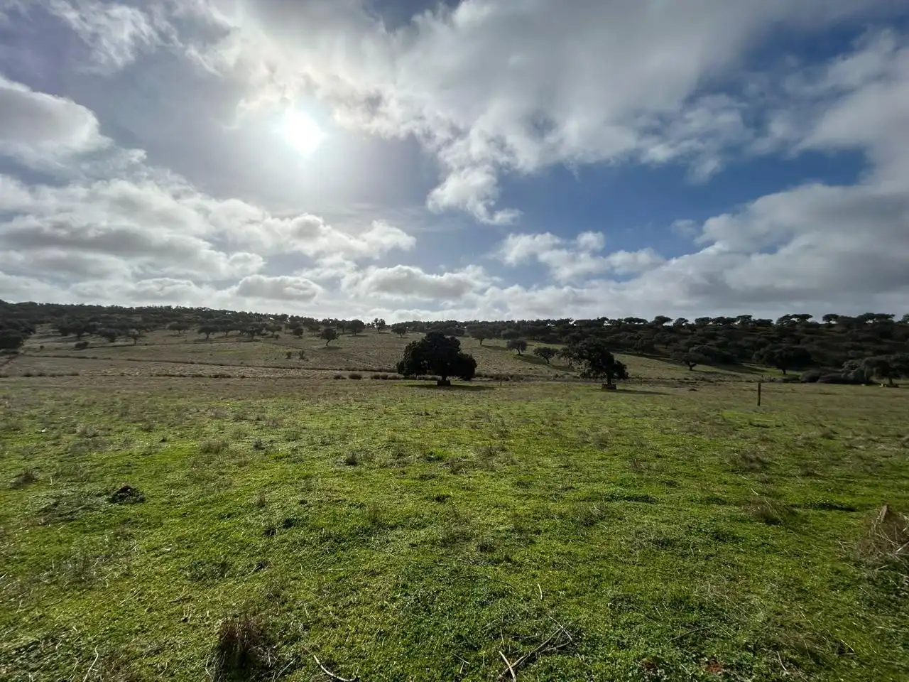 Lands and plots for sale in *, imagen 10