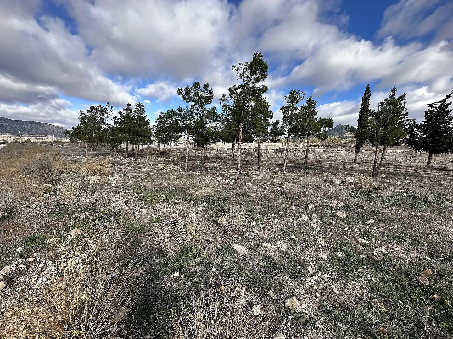 Rural land for sale in Salinas
