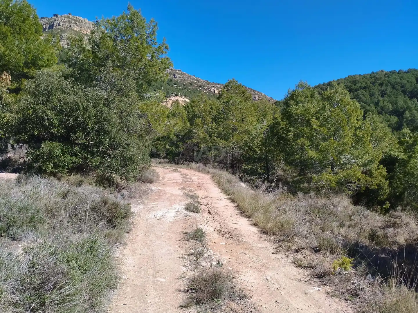 Terreno en venta en La Morera de Montsant