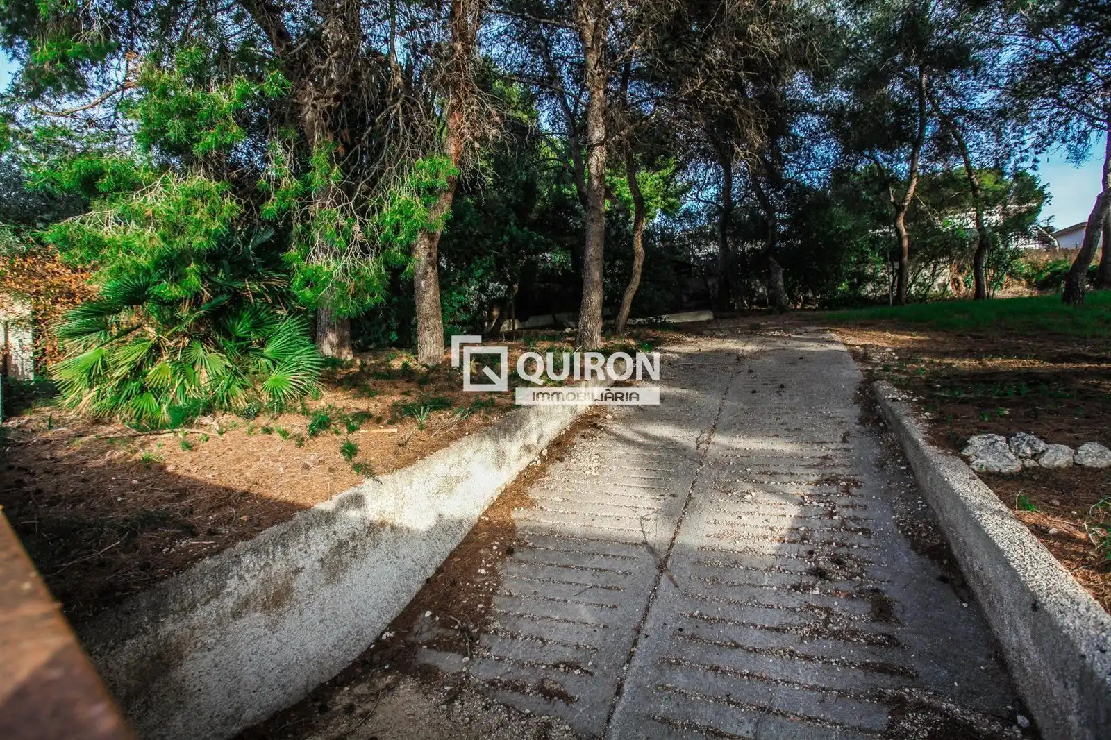 Terreno rustico in vendita a Segur de Calafell, imagen 13