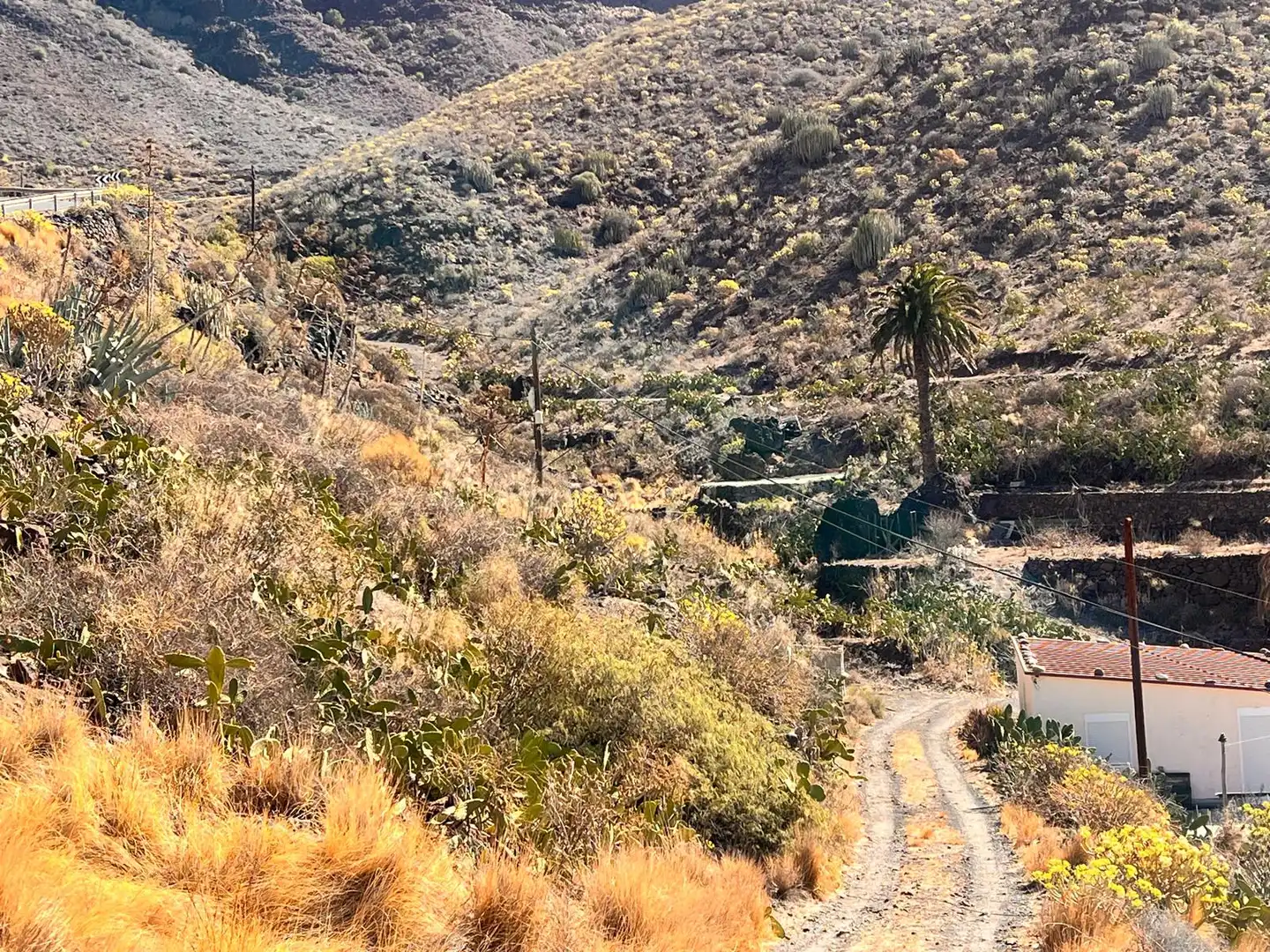Vista exterior de Terreno en venta en Cidamón