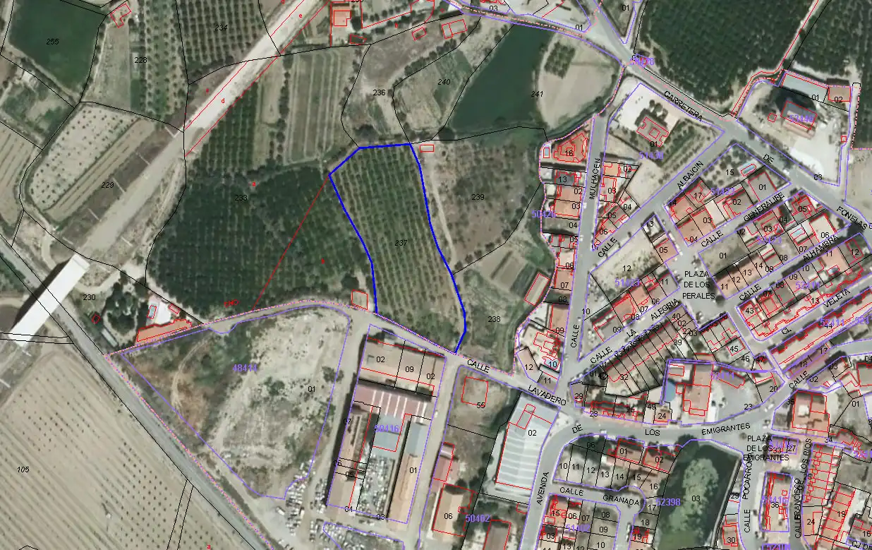 Terreny rústic en venda a CM FONELAS, LA CUILA, POLÍGONO 1, PARCELA 237 (parcela de aport, imagen 6