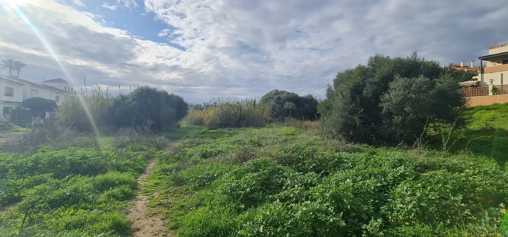 Terreno residencial en venta en Campo de Mijas, imagen 5