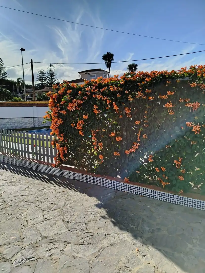 Villa zum Verkauf in Los Pinos, imagen 6