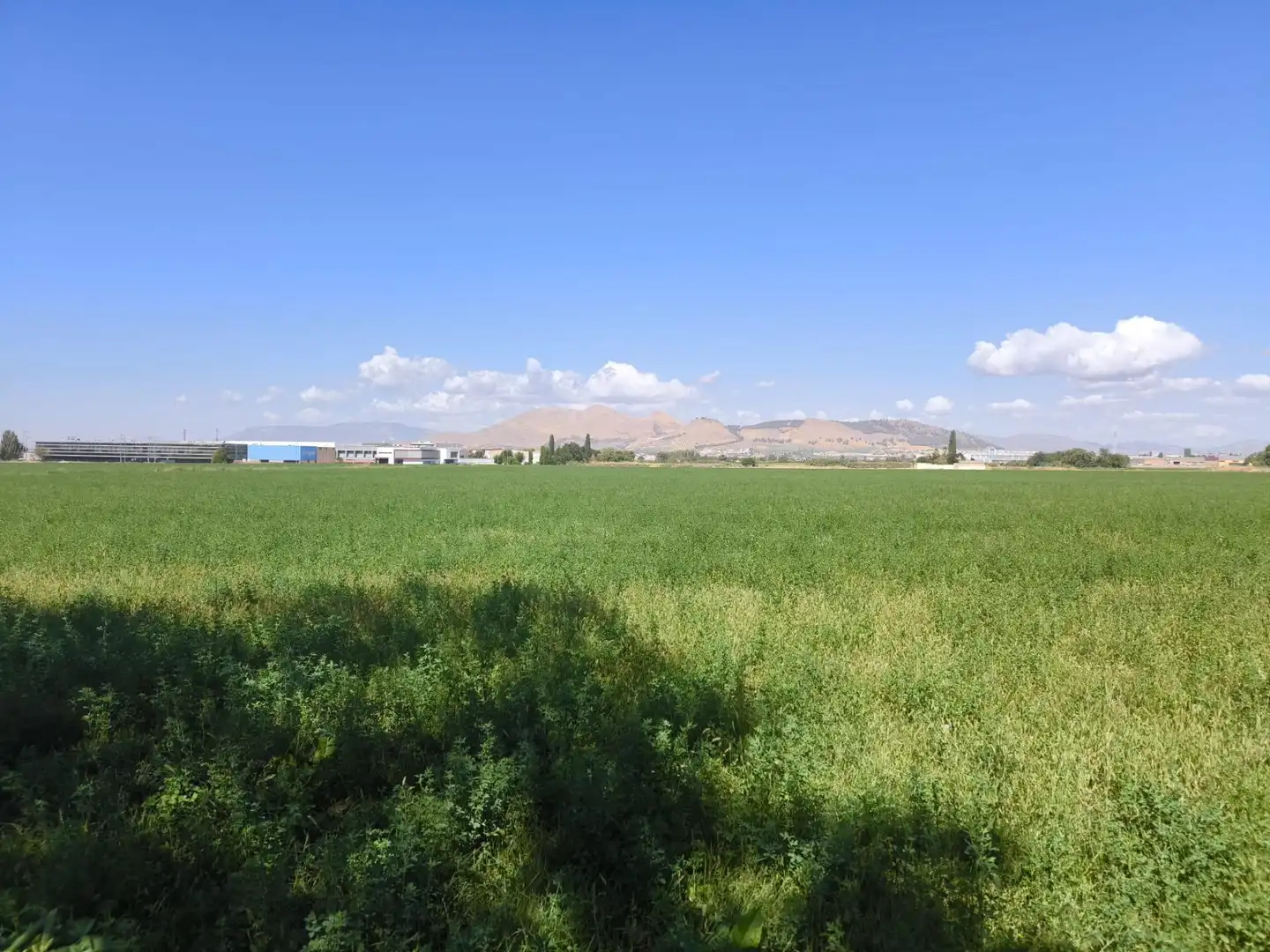 Industrial land for sale in Maracena, Granada