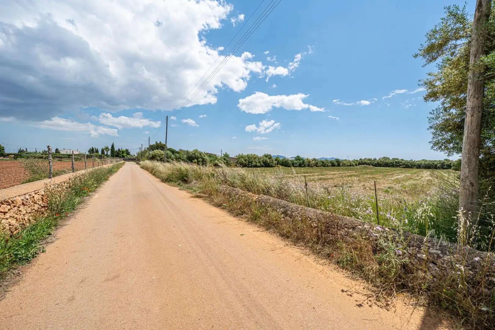 Rural land for sale in Felanitx Poble, imagen 30