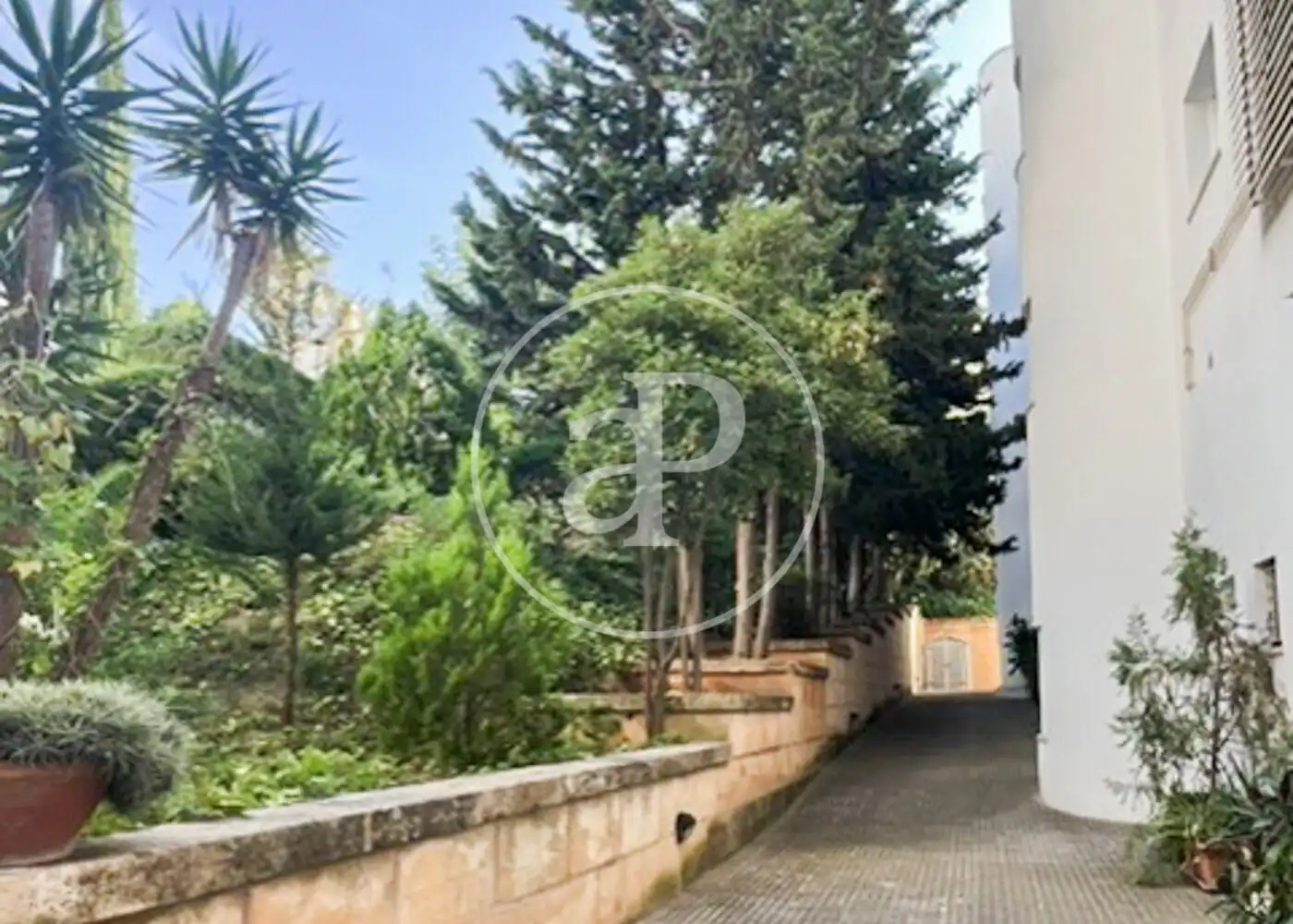 Attic for rent in Cala Major