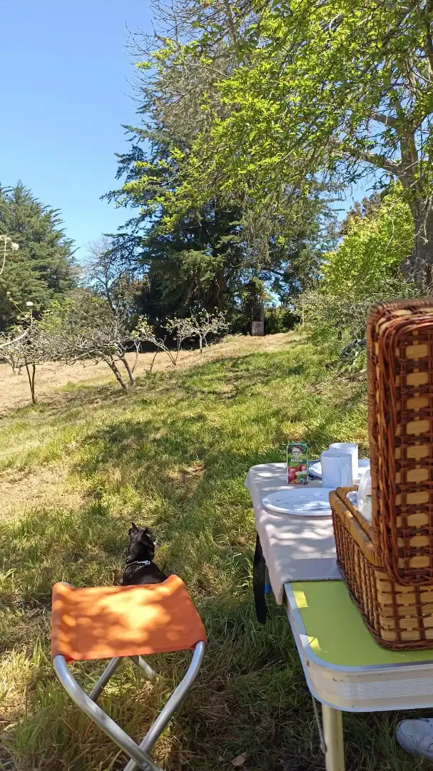 Terreny rústic en venda a El Sauzal, imagen 7