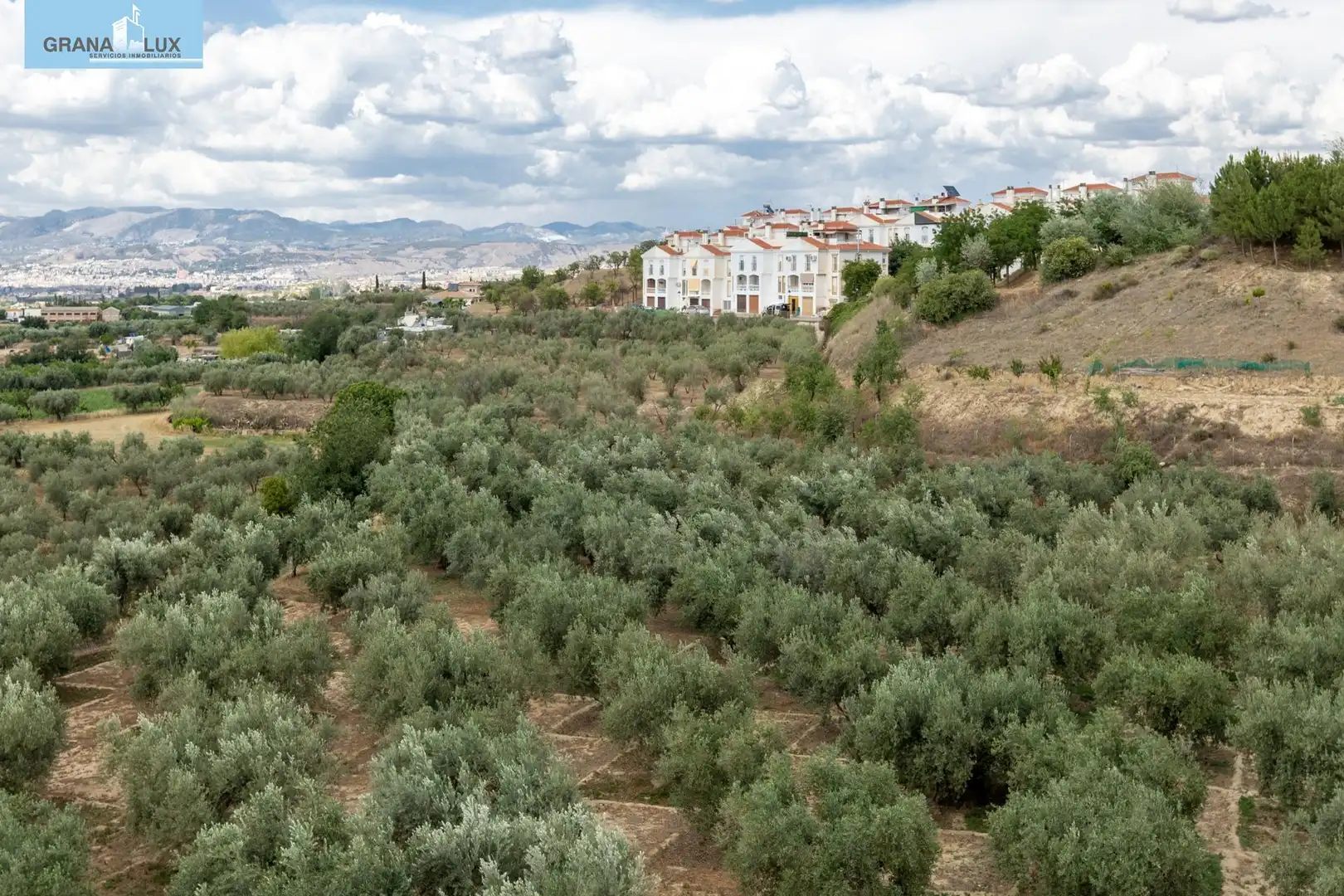 Terreno rustico in vendita a Calle POL 1, PARC 176, imagen 2