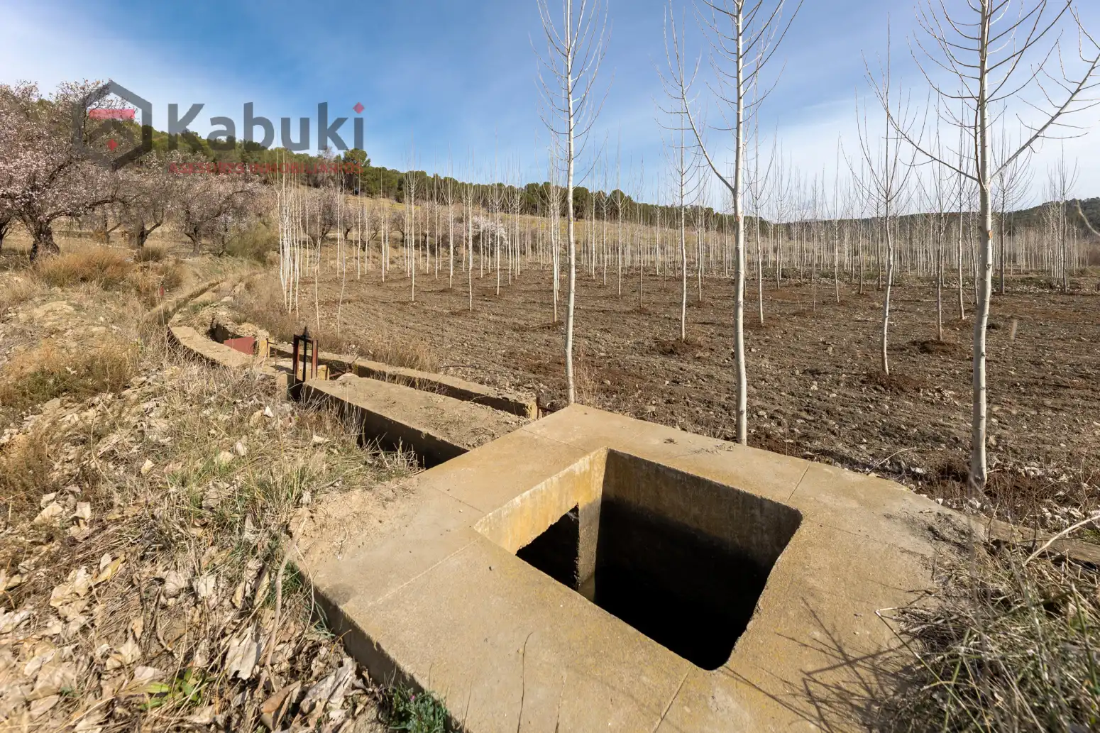 Terreni e lotti in vendita a Guadix - AUTE. VALLE DEL ZALABI, imagen 14