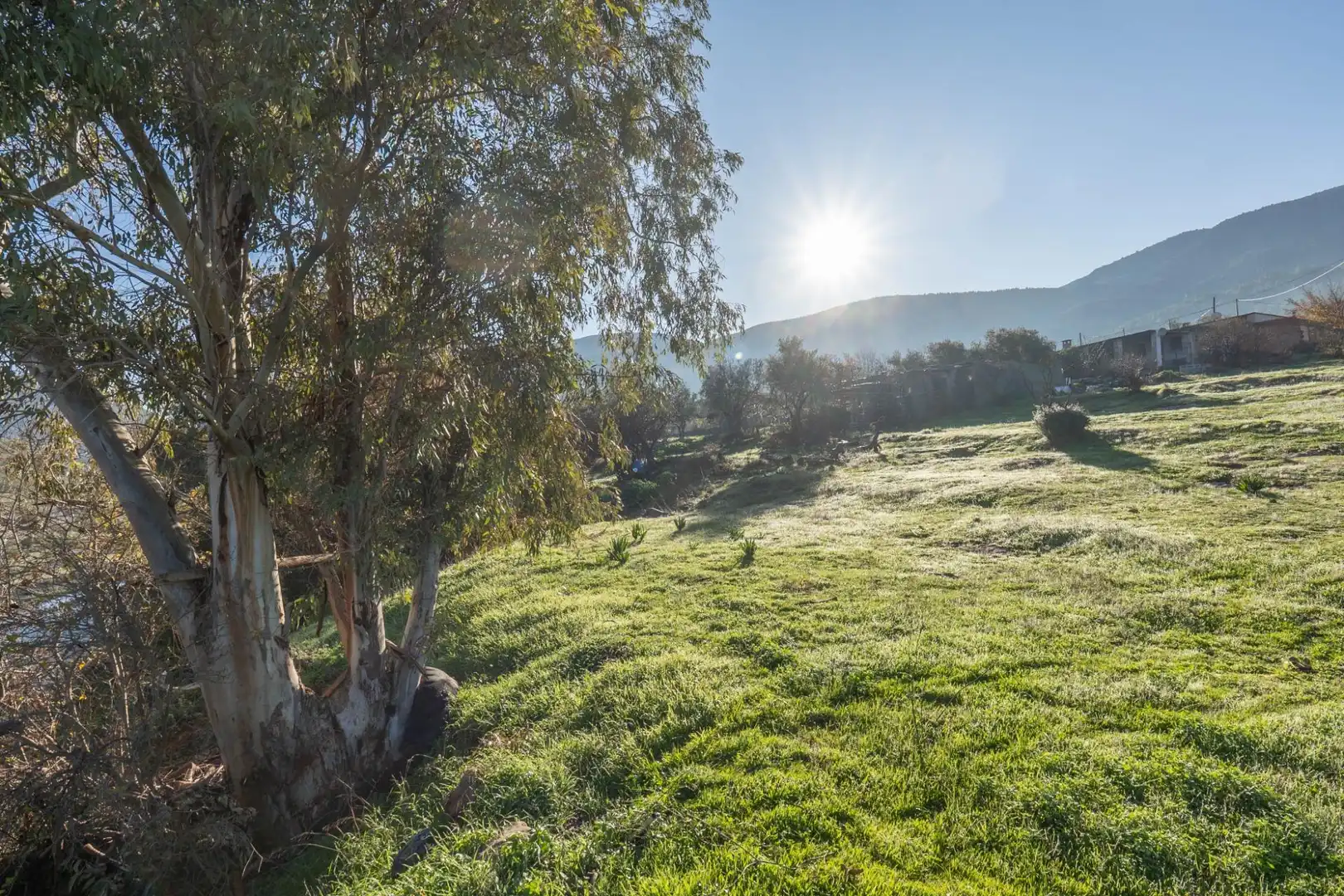 Rural land for sale in Órgiva, imagen 16