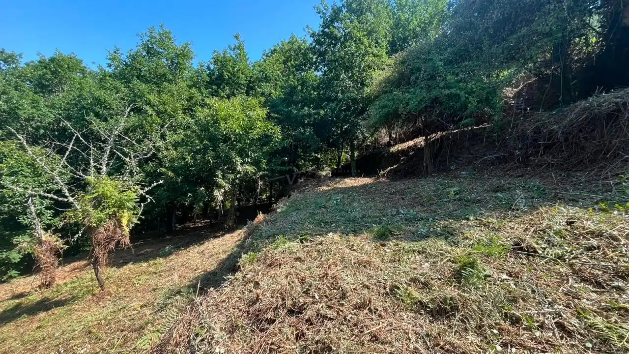 Casa rústica amb terrassa en venda a RAMUIN, imagen 20