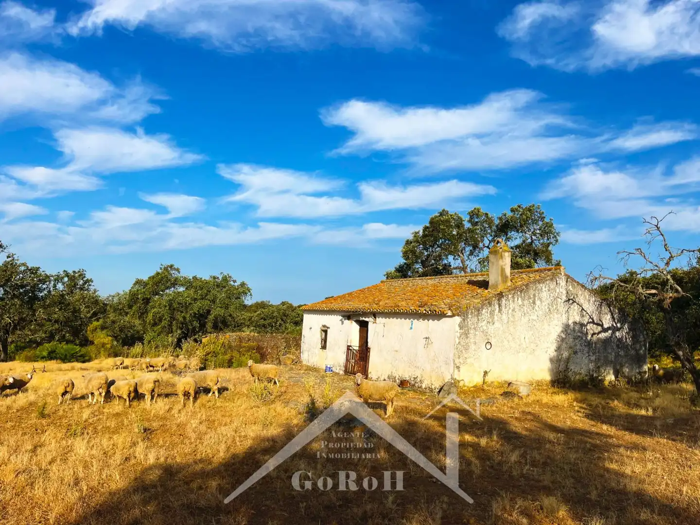 Terreni e lotti in vendita a Castilblanco de los Arroyos