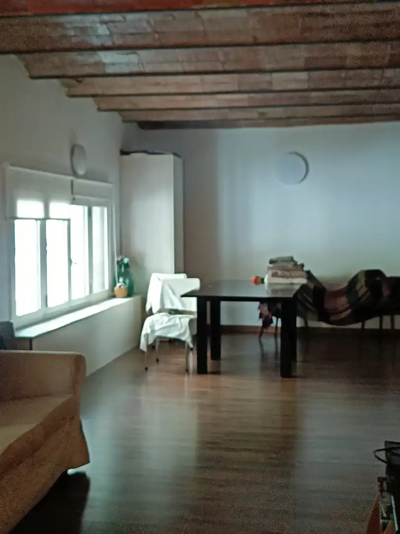 Comedor de Loft de alquiler en Barcelona con Parquet, Amueblado y Horno