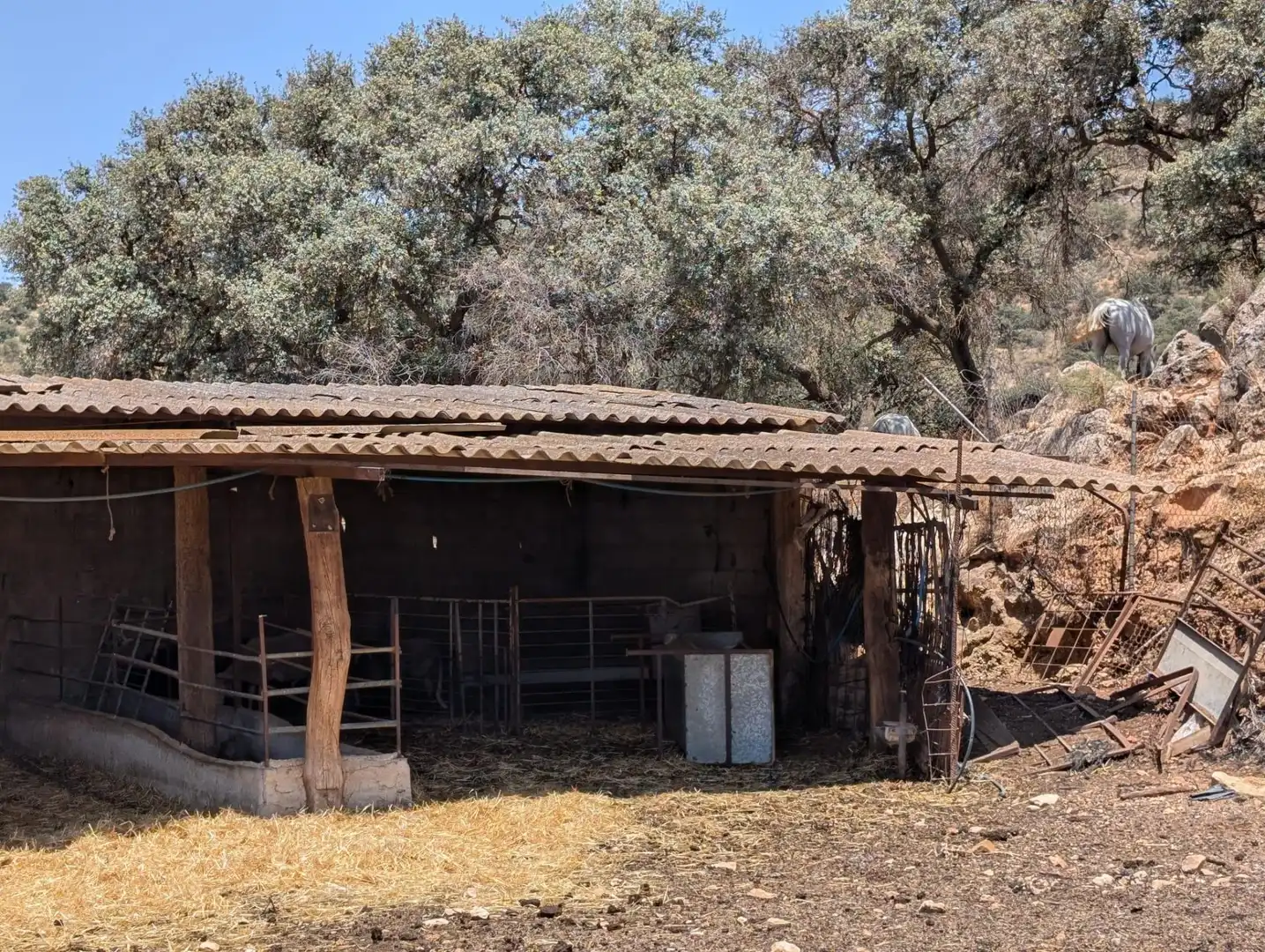 Casa rústica amb piscina en venda a Loja, imagen 75