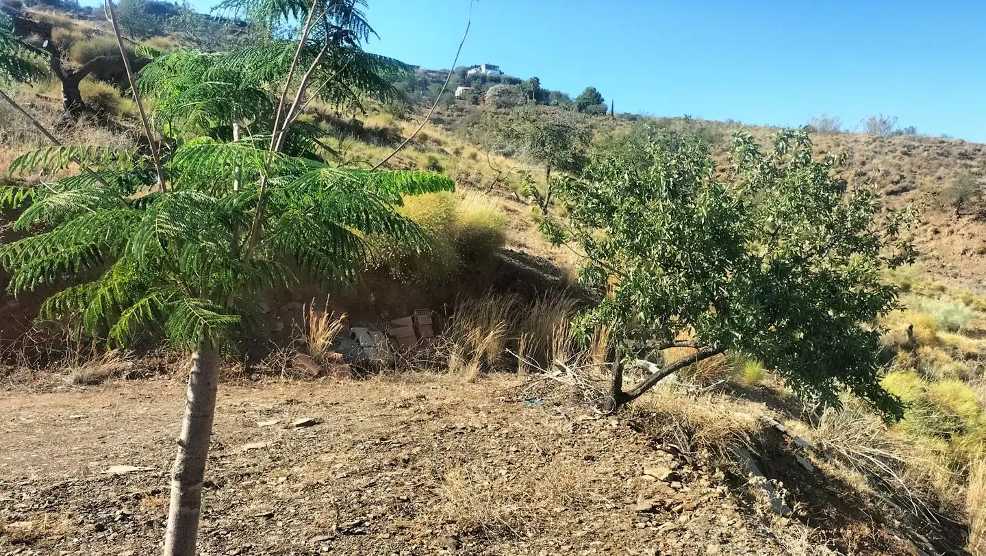 Country house for sale in Monte los Almendros - El Pargo - Costa Aguilera, imagen 10