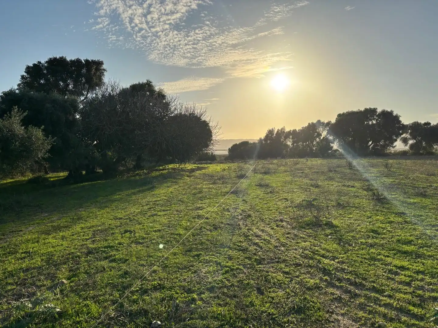 Terreni e lotti in vendita a Vejer, imagen 20
