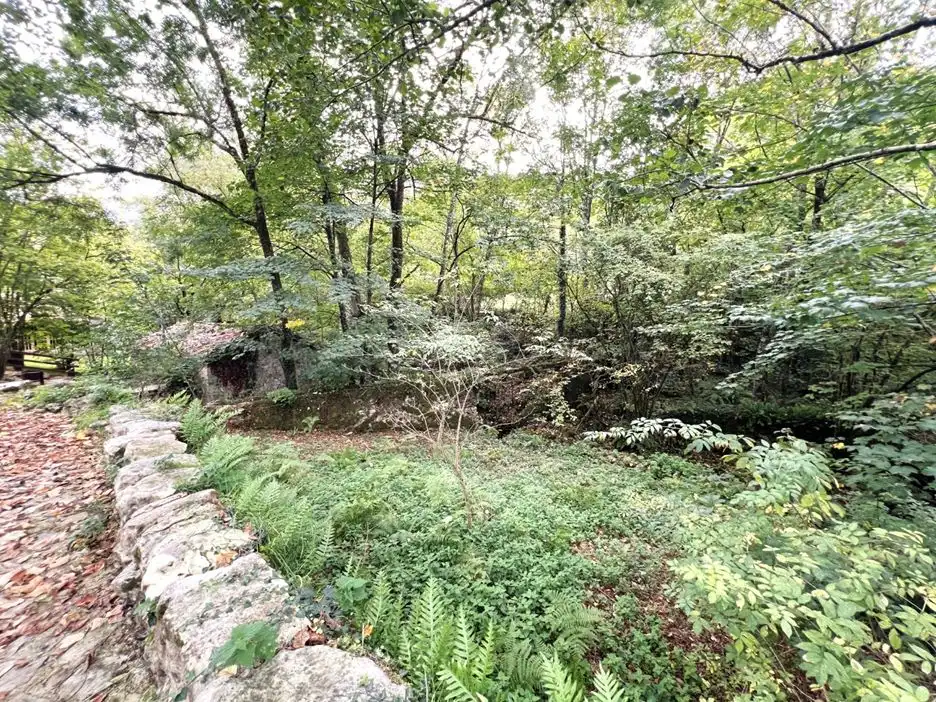 Casa in vendita a Peñamellera Alta, imagen 6