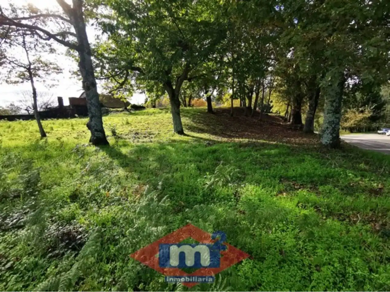 Lands and plots for sale in Salceda de Caselas, imagen 6