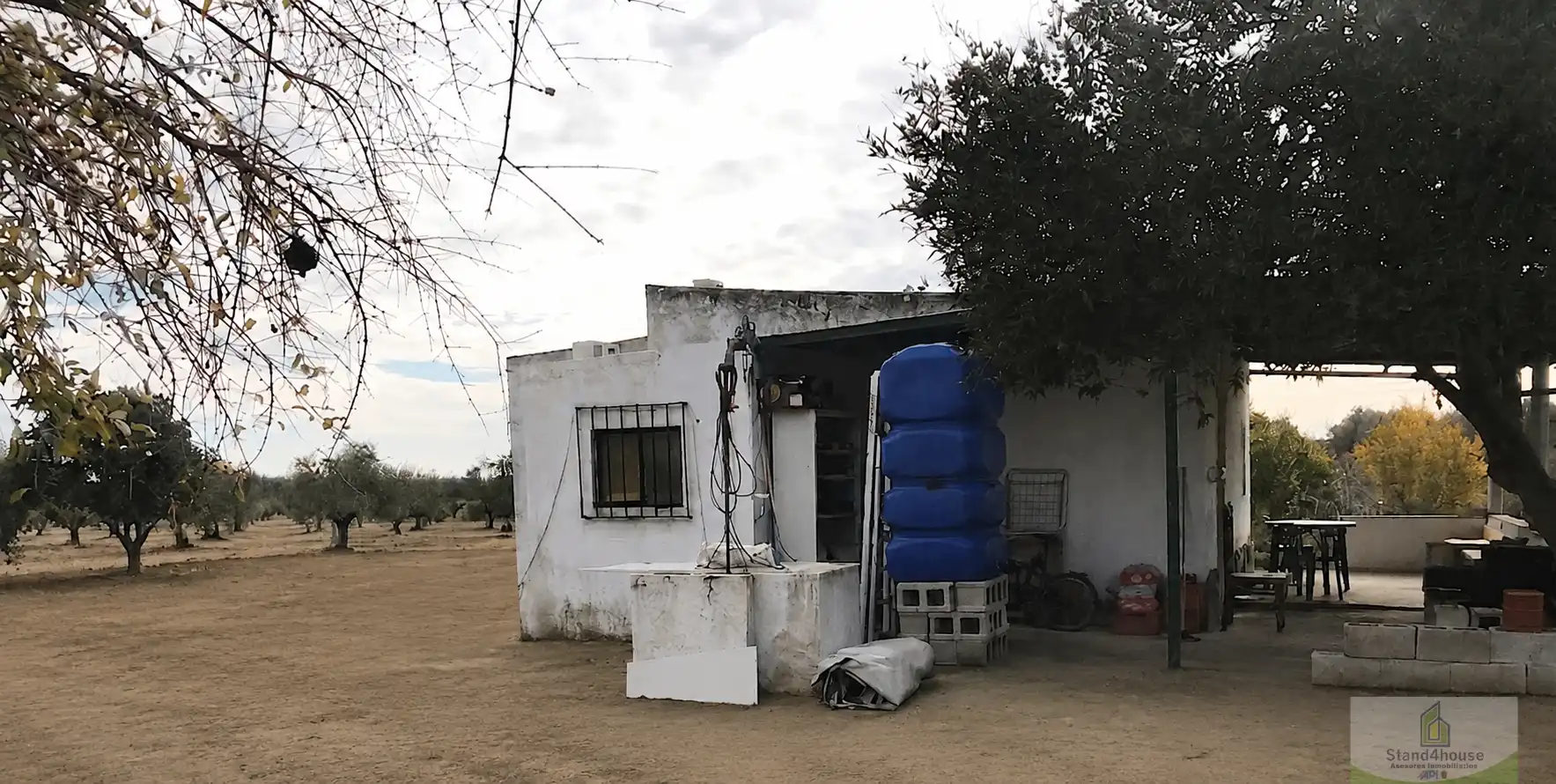 Vista exterior de Finca rústica en venta en Bollullos Par del Condado con Alarma