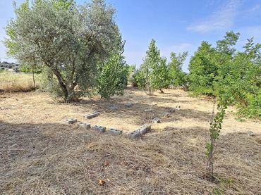Terreni e lotti in vendita a Hormigos