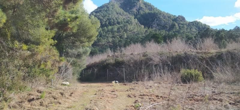 Residencial en venda a Cercat, Quatretonda