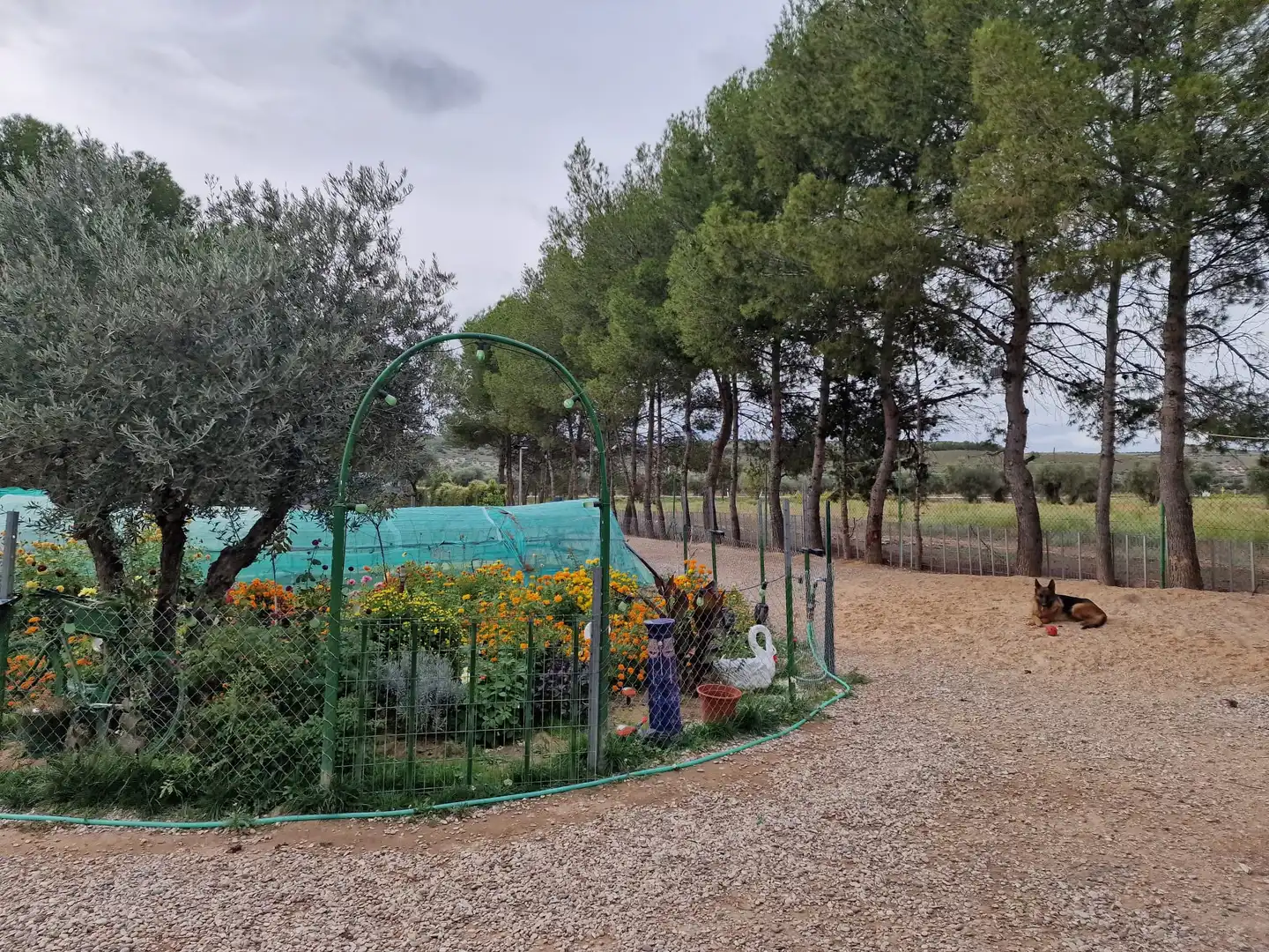 Casa rústica en venda a Calle Baja Azotea, imagen 17