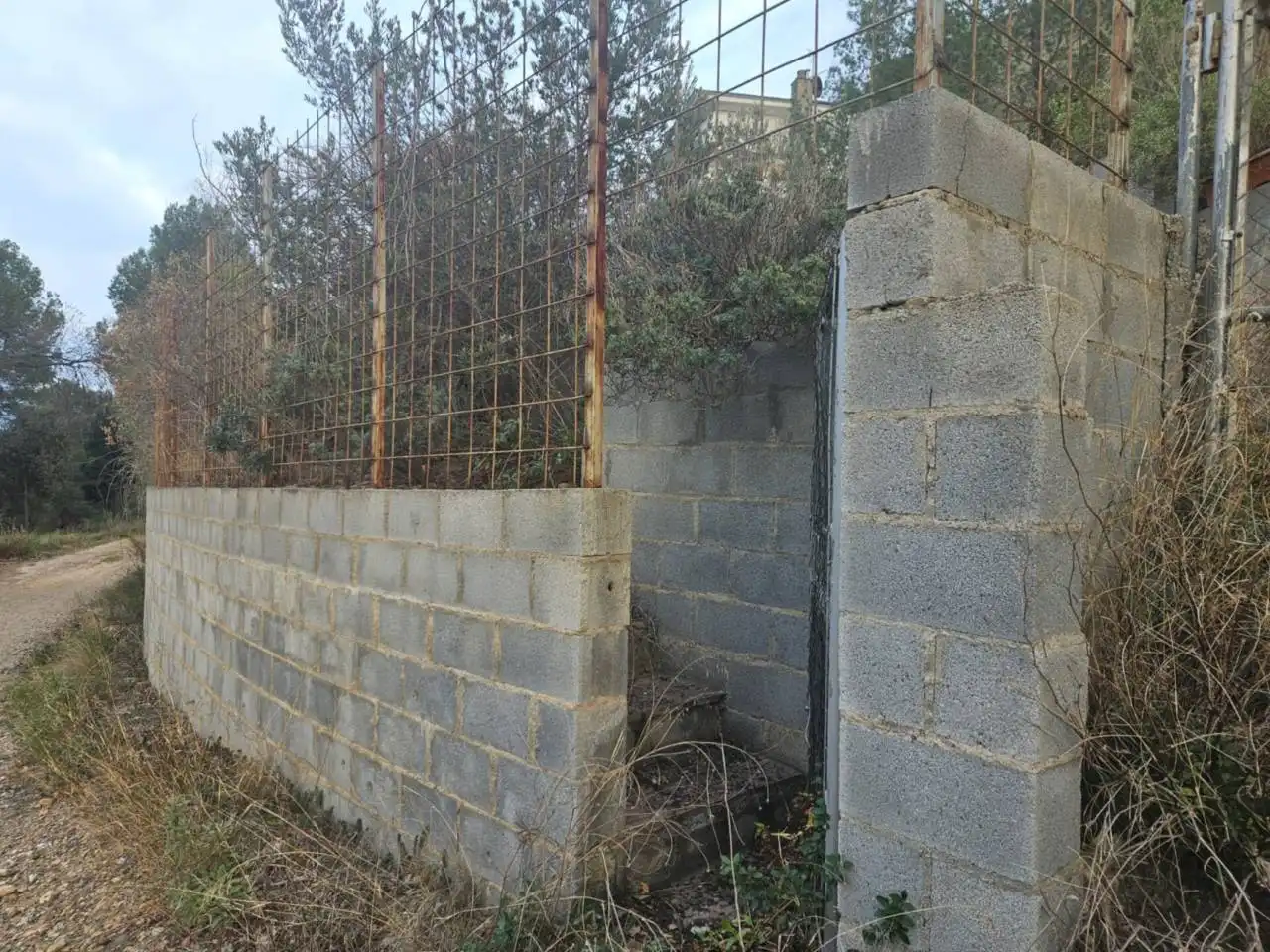 Rural land for sale in Calle Pins, imagen 11